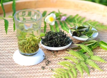 贺州市八步区开山镇东南开山白毛茶叶专业合作社 “开山”白毛茶