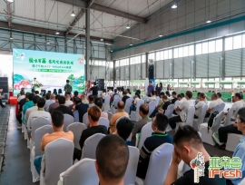 2025年“桂字号”钦州荔枝产销对接(上海)活动成功举办!