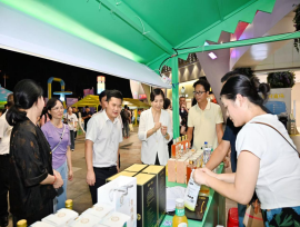 2025年大新青梅品牌发布暨产品推介活动在南宁举办 特色农产品赋能乡村振兴