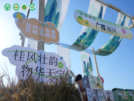 “芳林马蹄”引领绿色风潮,四省联动助推乡村振兴