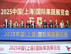 “桂字号”农产品亮相中国(上海)国际果蔬展览会