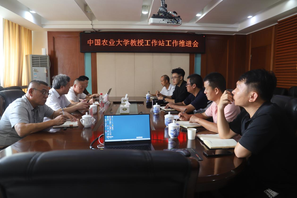 图片3 工作推进会.png