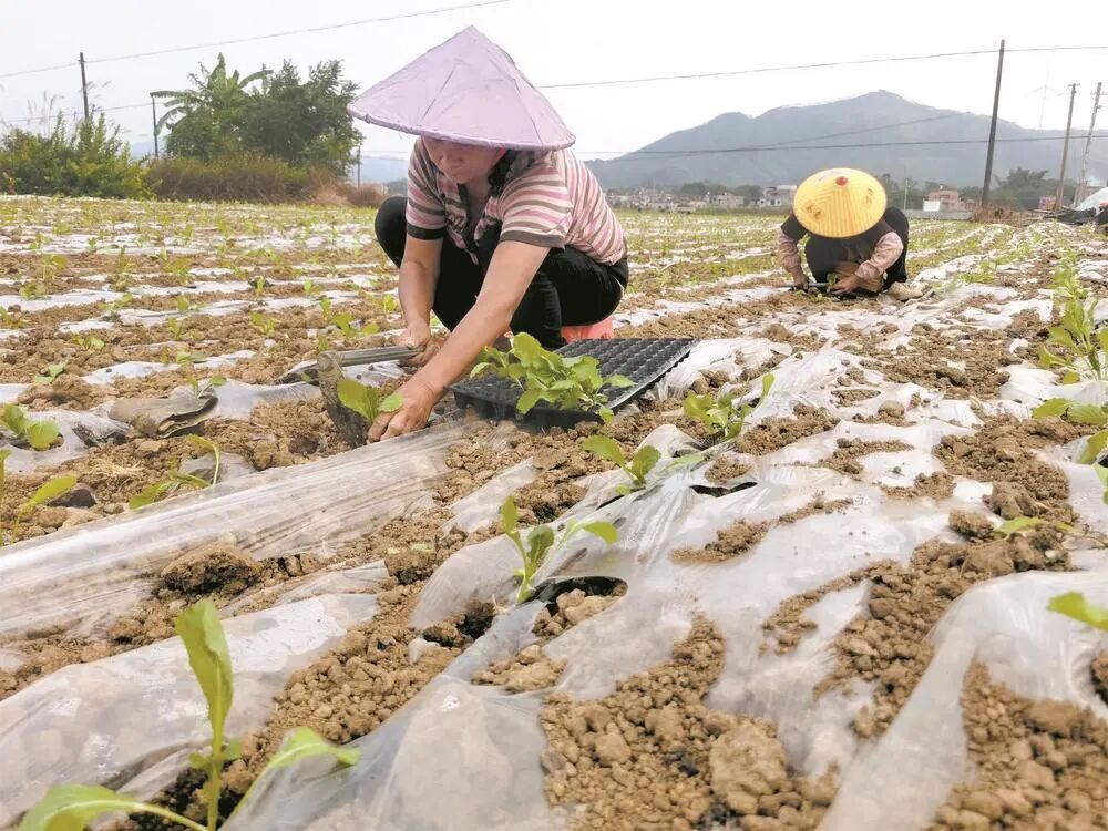 微信图片_20251124094904.jpg