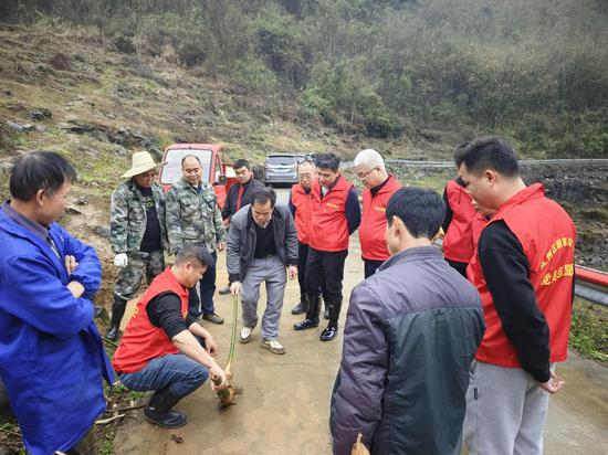 图为宜州烟草驻村队员向党员志愿者及村民讲解种植麻竹要领。梁枫 摄