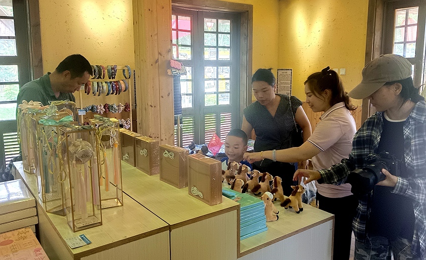 节假日期间矮马王国景区的矮马文创店内涌现大量游客。黄琪摄.jpg