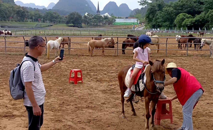 矮马体验成为景区热门打卡地。黄琪摄.jpg