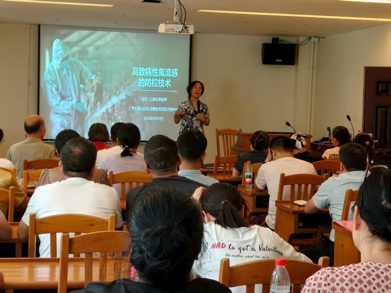 图片1_800x599.jpg